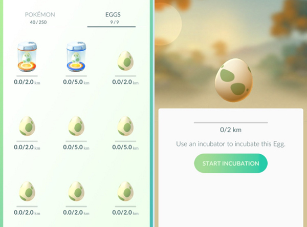 宝可梦go国际版