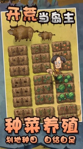 开荒当岛主免广告版