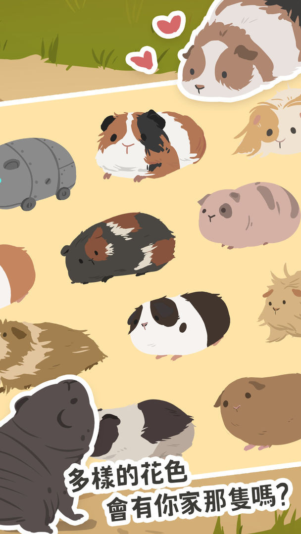 天竺鼠農場 安卓版v0.1.38