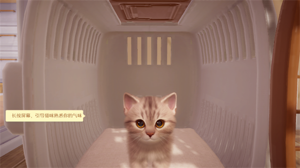 我和我的猫中文版