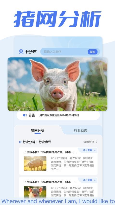 全民养猪场app