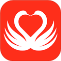 天鹅网APP v1.2.0 安卓版