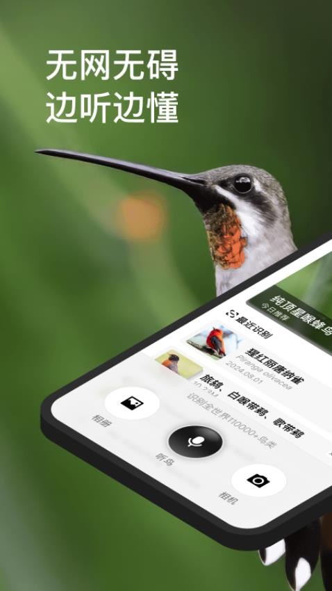懂鸟官网版