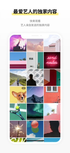 lysn最新版安卓版2