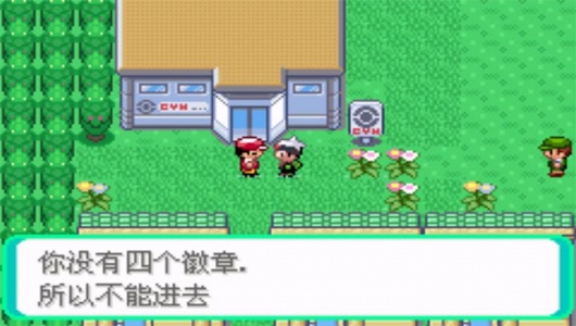 口袋妖怪冰之冒险汉化版带金手指