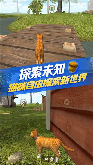 猫咪生存模拟器无广告版 手机版v1.9