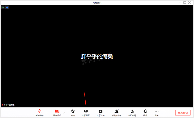 怎么共享屏幕配图3