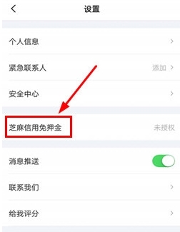 怎么免押金租车配图2