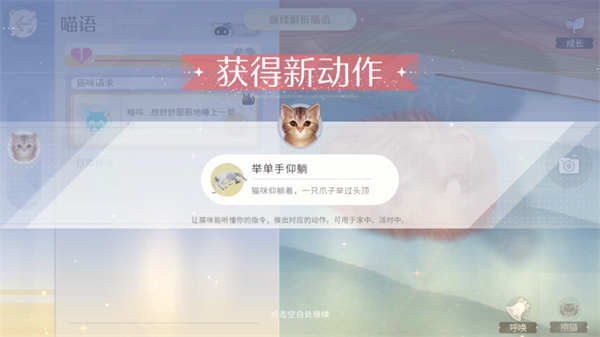 我和我的猫中文版