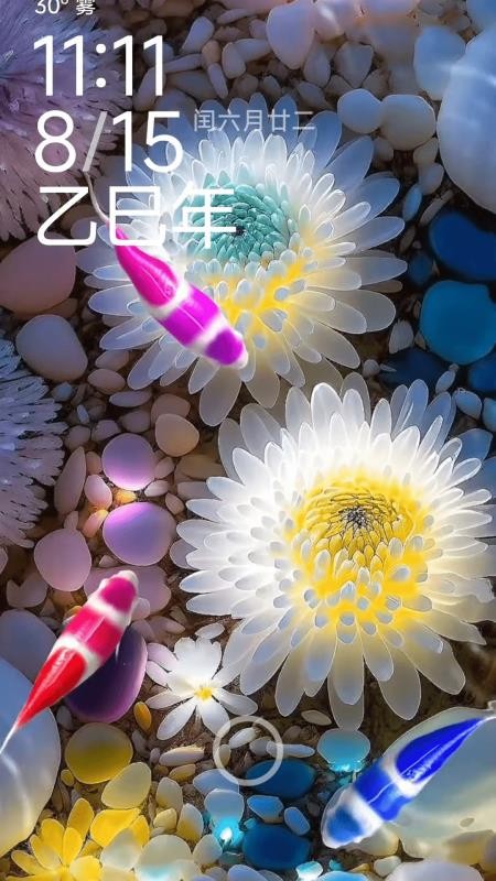 荷花锦鲤壁纸最新版