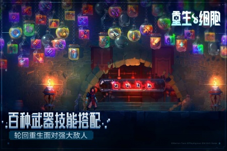 重生细胞华为版