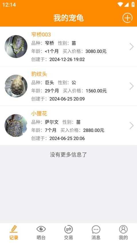 龟圈江湖最新版