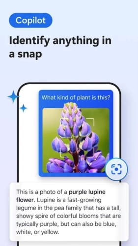 edge浏览器谷歌版