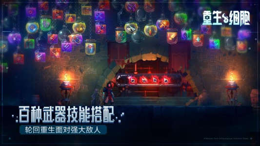 重生细胞国际版(Dead Cells)