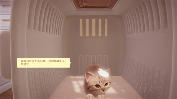 我和我的猫中文版