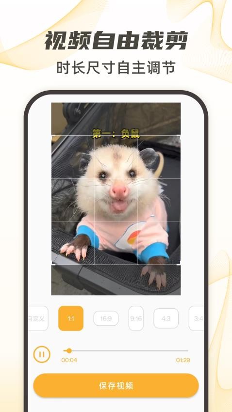 视频下载去水印最新版