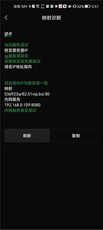 手机变服务器教程配图5