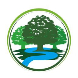 网络在线课堂软件(默森网校)