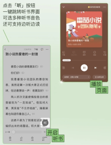 番茄免费小说12