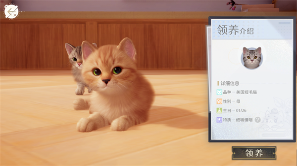 我和我的猫中文版