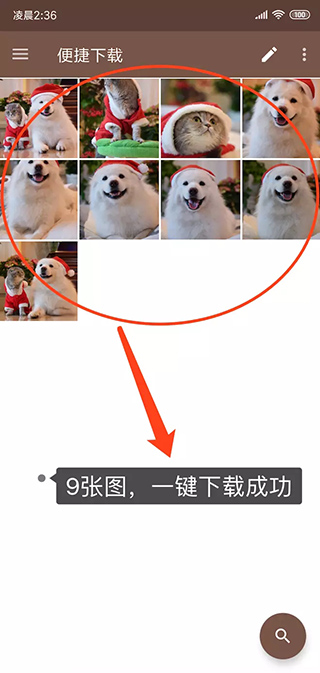 便携下载高级版6
