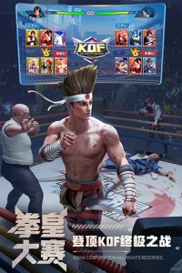 拳魂觉醒华为版