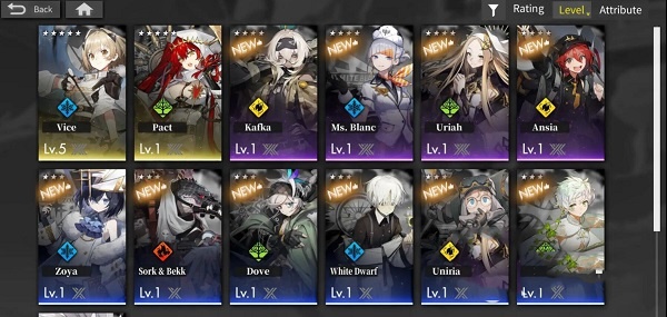 白夜极光官方版