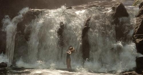 森林之子中文版