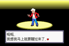 口袋妖怪蛇纹木手机版