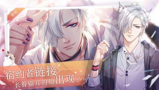 猫之宿约者九游渠道服