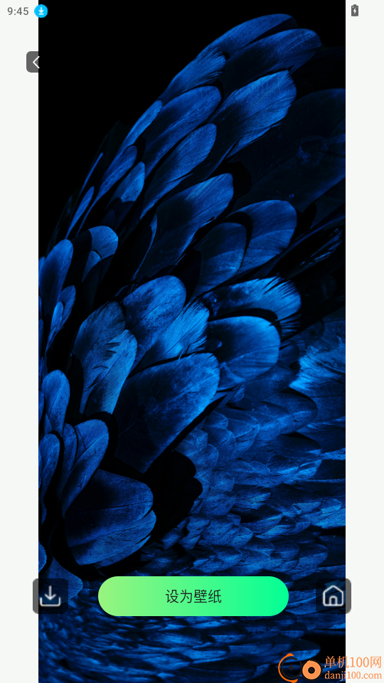 手机铃声来电多官网版