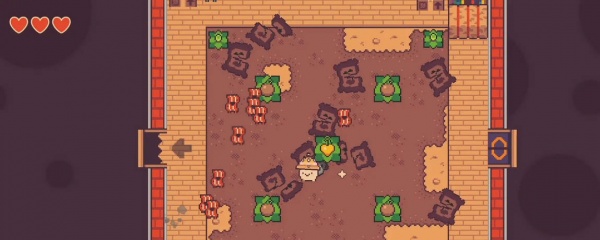 大头菜菜历险记