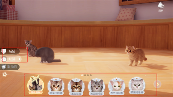 我和我的猫中文版