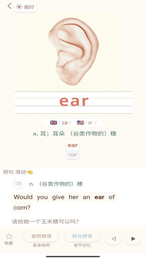 轻记单词官方版