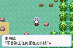 口袋妖怪蛇纹木手机版