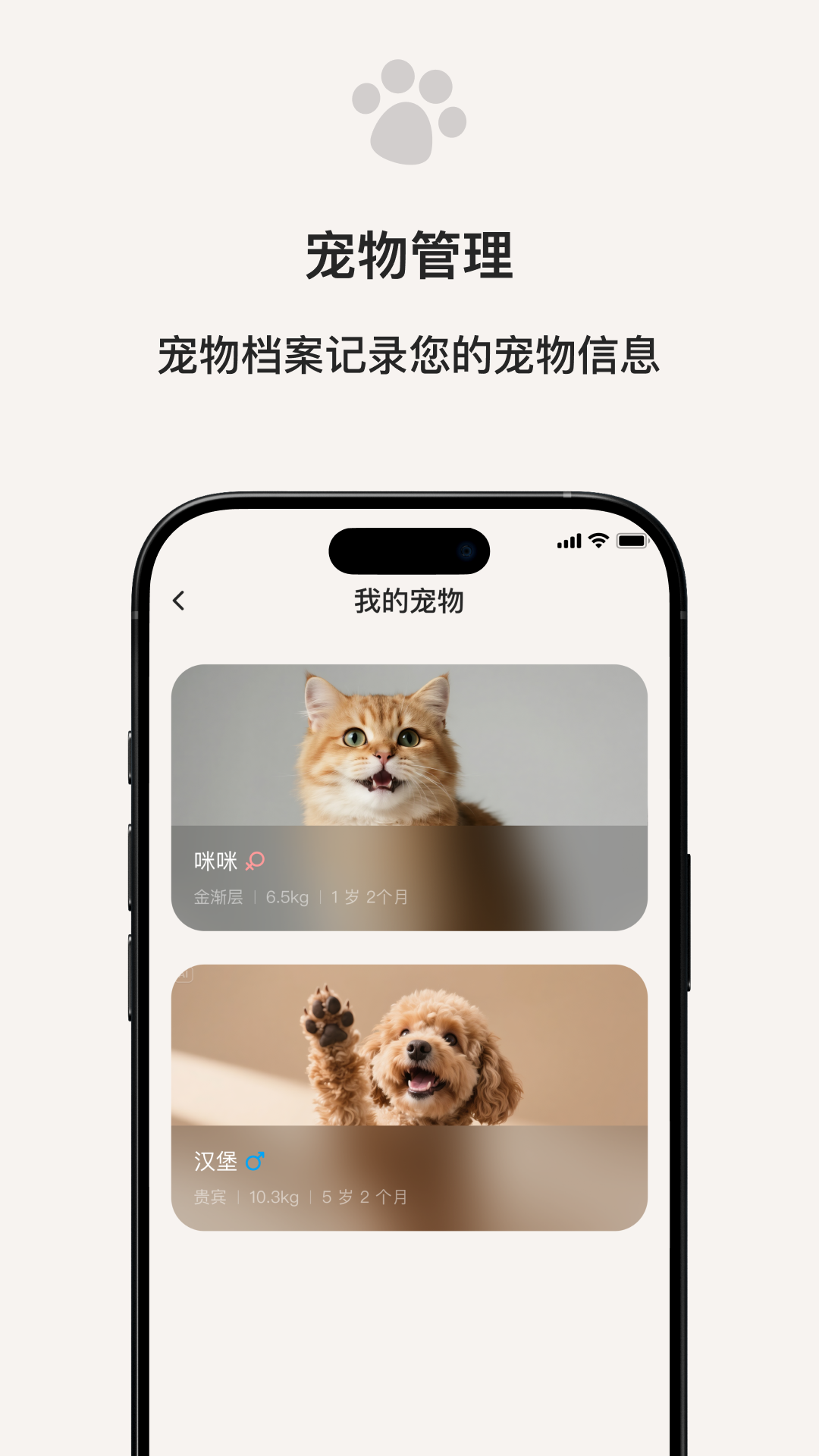 宠小吉app